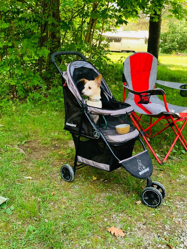 This is what Pip knocked over. 