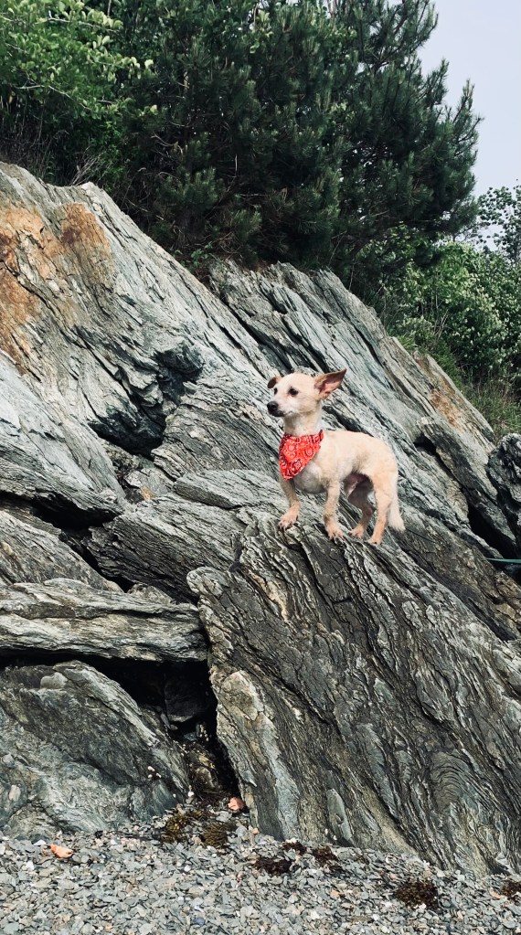 Pip... being awesome! 